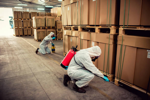 Best Pest Inspection Near Me  in Akwesasne, NY