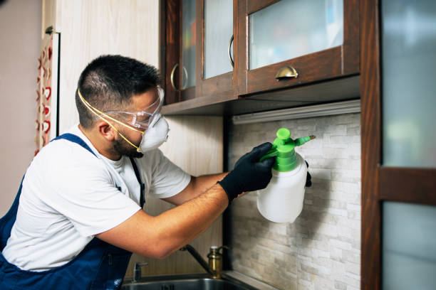 Pest Control Cost in Akwesasne, NY