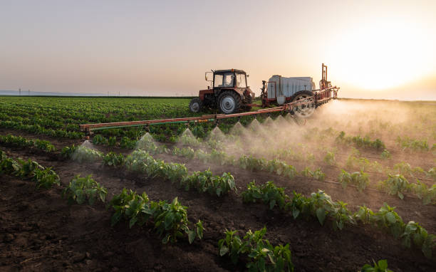 Professional Pest Control in Akwesasne, NY
