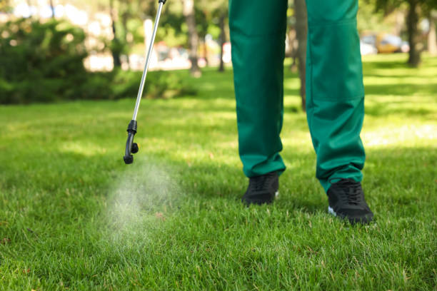 Best Termite Control Services  in Akwesasne, NY