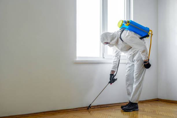 Best Exterminator Services  in Akwesasne, NY