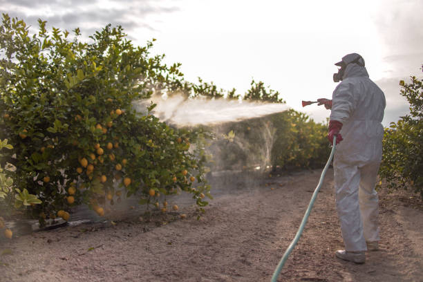 Best Emergency Pest Control  in Akwesasne, NY
