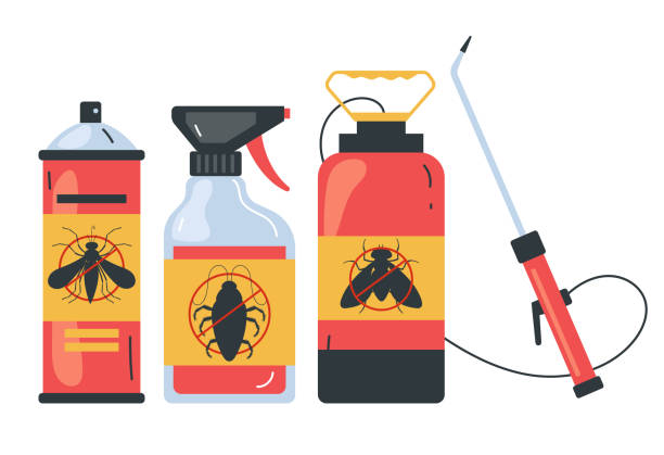 Best Bed Bug Extermination  in Akwesasne, NY