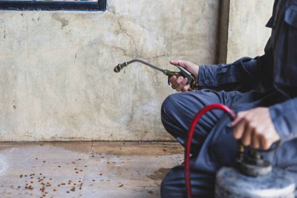 Best Pest Removal Services  in Akwesasne, NY